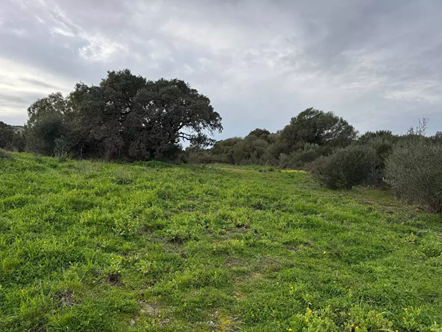 Immagine 18 di Terreno residenziale in vendita  in ZONA RIONE S.PAOLO FRONTE STRADA ABELTINO SNC a Aggius