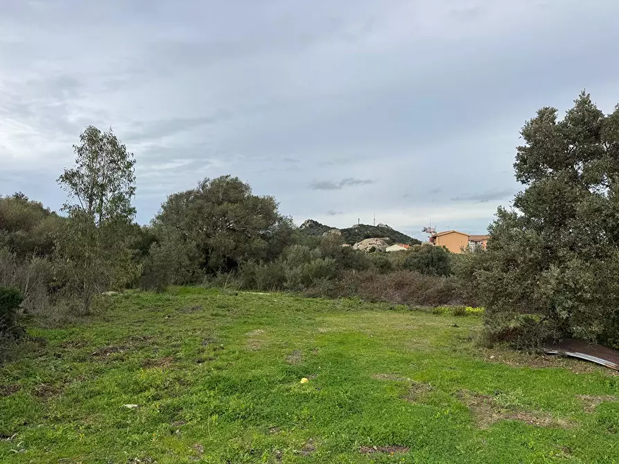 Immagine 19 di Terreno residenziale in vendita  in ZONA RIONE S.PAOLO FRONTE STRADA ABELTINO SNC a Aggius