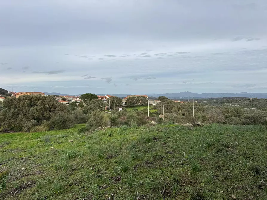 Immagine 20 di Terreno residenziale in vendita  in ZONA RIONE S.PAOLO FRONTE STRADA ABELTINO SNC a Aggius