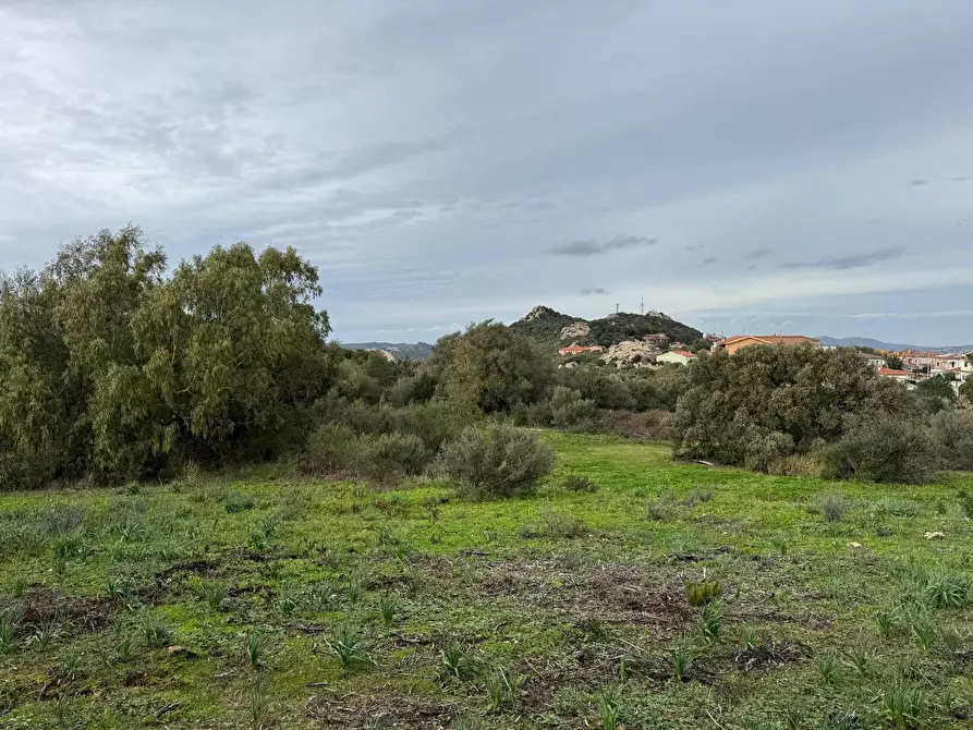Immagine 21 di Terreno residenziale in vendita  in ZONA RIONE S.PAOLO FRONTE STRADA ABELTINO SNC a Aggius