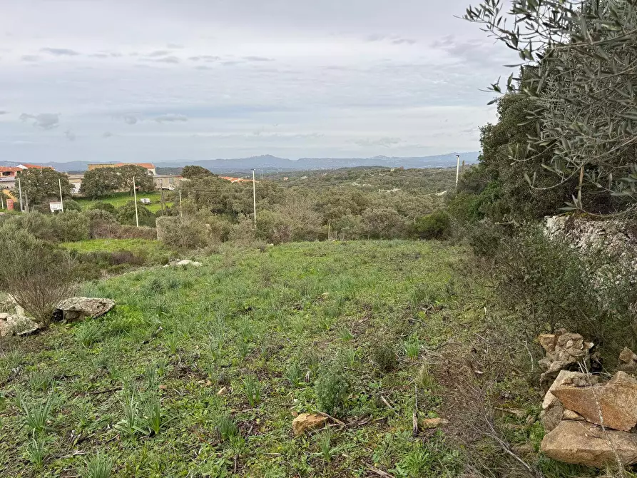 Immagine 22 di Terreno residenziale in vendita  in ZONA RIONE S.PAOLO FRONTE STRADA ABELTINO SNC a Aggius