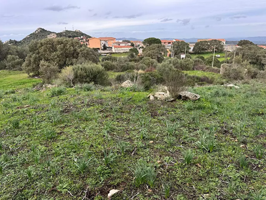 Immagine 23 di Terreno residenziale in vendita  in ZONA RIONE S.PAOLO FRONTE STRADA ABELTINO SNC a Aggius
