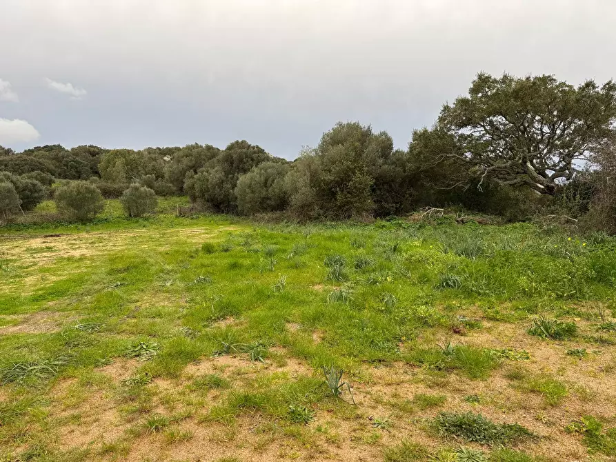 Immagine 3 di Terreno residenziale in vendita  in FRONTE STRADA ZONA RIONE S.PAOLO SNC a Aggius