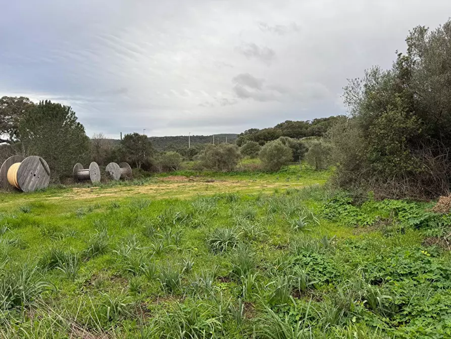 Immagine 4 di Terreno residenziale in vendita  in FRONTE STRADA ZONA RIONE S.PAOLO SNC a Aggius