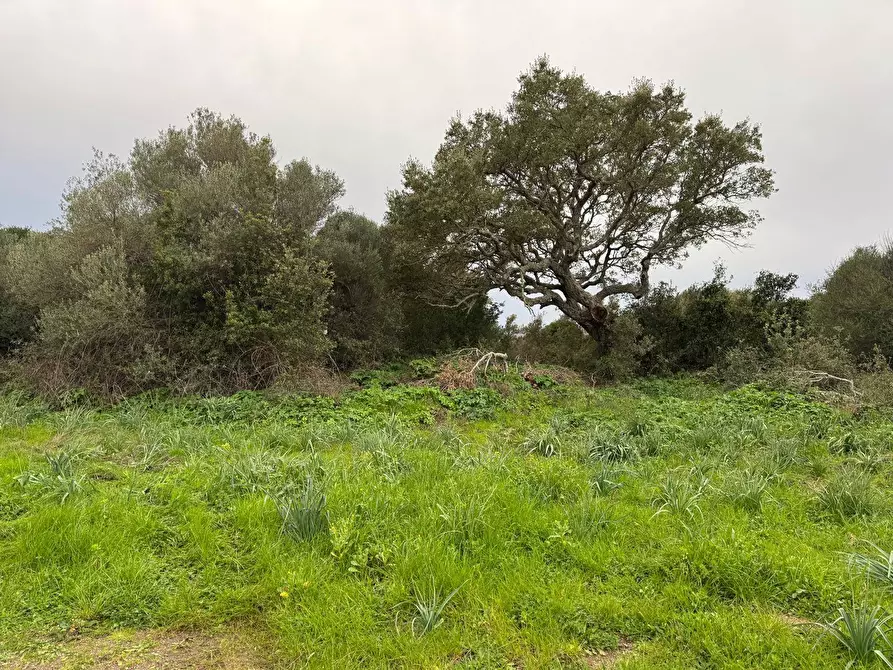 Immagine 5 di Terreno residenziale in vendita  in FRONTE STRADA ZONA RIONE S.PAOLO SNC a Aggius