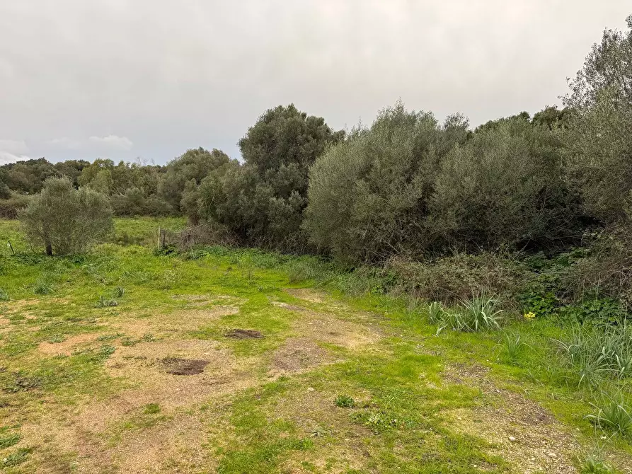 Immagine 9 di Terreno residenziale in vendita  in FRONTE STRADA ZONA RIONE S.PAOLO SNC a Aggius