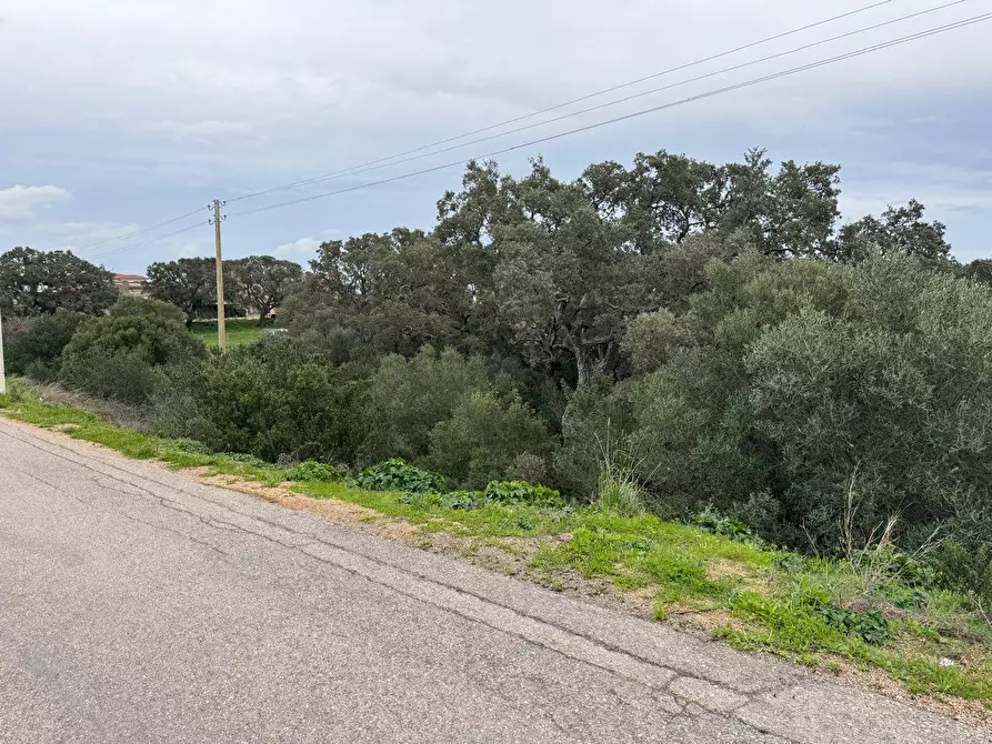 Immagine 11 di Terreno residenziale in vendita  in FRONTE STRADA ZONA RIONE S.PAOLO SNC a Aggius