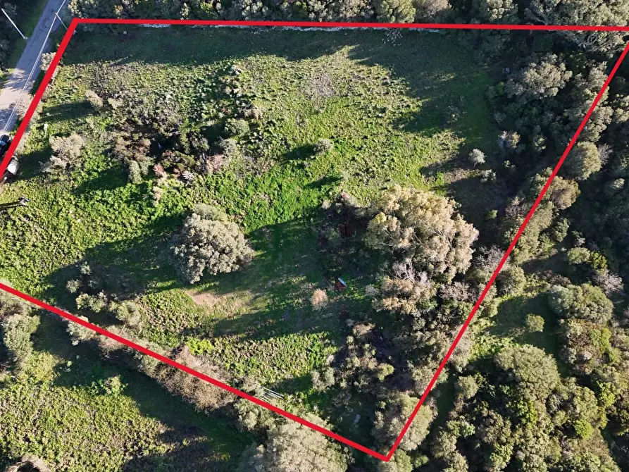 Immagine 1 di Terreno residenziale in vendita  in ZONA RIONE S.PAOLO FRONTE STRADA ABELTINO SNC a Aggius