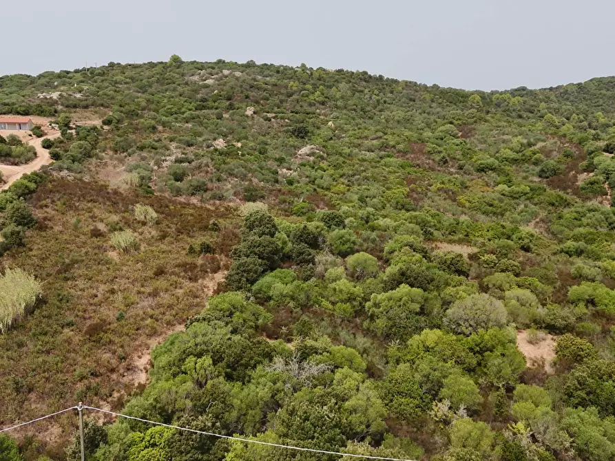 terreno in vendita ad Arzachena