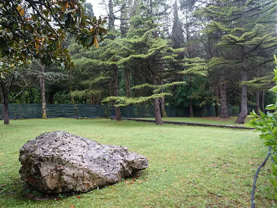 Immagine 9 di Villa in vendita  in LA RIMESSA 59 a Capolona