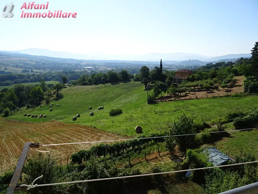 Immagine 11 di Appartamento in vendita  a Castel San Niccolò