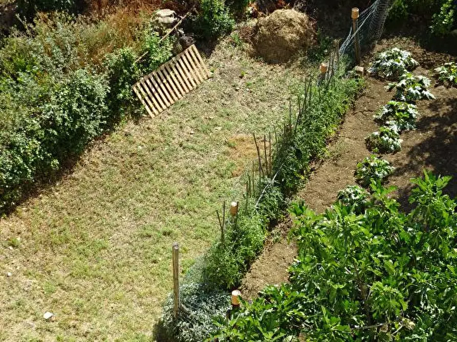 Immagine 19 di Appartamento in vendita  a Castel San Niccolò