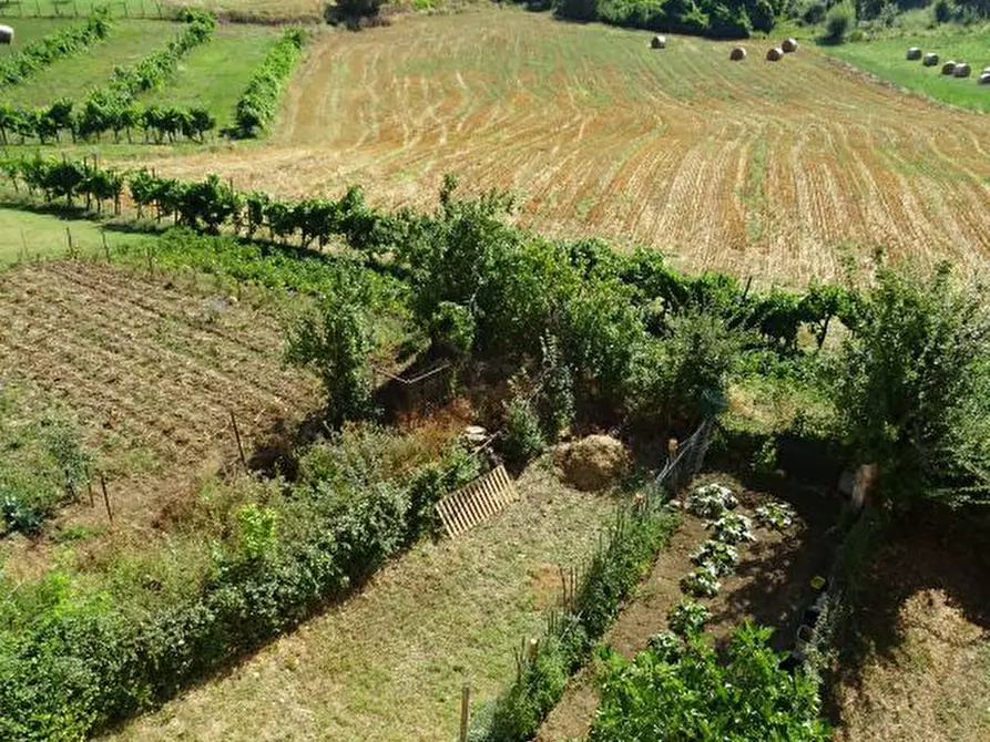 Immagine 20 di Appartamento in vendita  a Castel San Niccolò