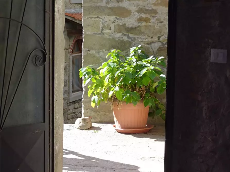 Immagine 29 di Casa indipendente in vendita  in PIAN DEI CORTINI 217 a Bibbiena