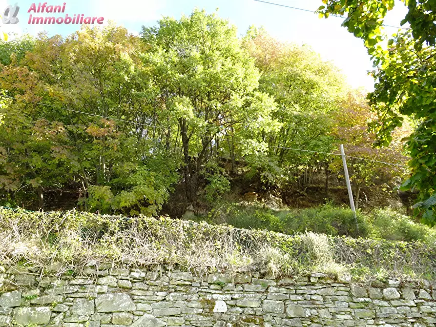 Immagine 47 di Casa indipendente in vendita  in PIAN DEI CORTINI 217 a Bibbiena