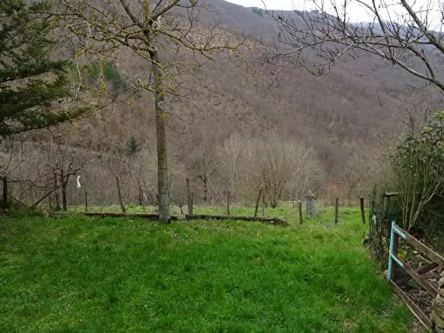 Immagine 30 di Casa indipendente in vendita  a Capolona