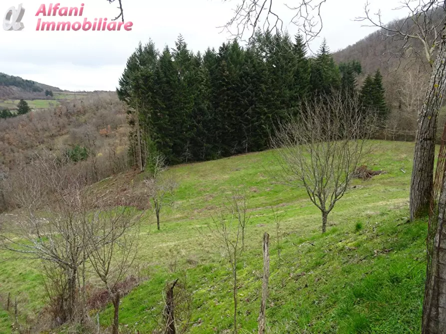 Immagine 32 di Casa indipendente in vendita  a Capolona