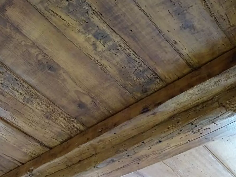 Immagine 13 di Appartamento in vendita  a Bibbiena