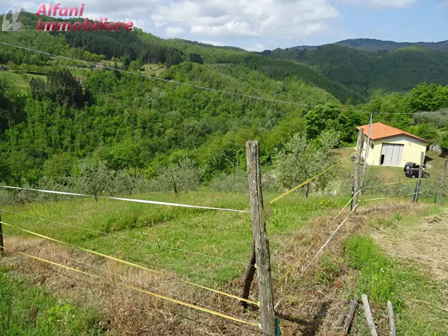 Immagine 2 di Terreno agricolo in vendita  a Pratovecchio Stia