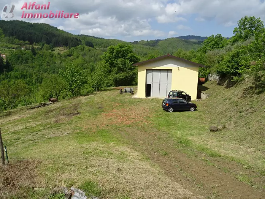 Immagine 3 di Terreno agricolo in vendita  a Pratovecchio Stia