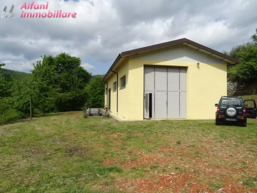 Immagine 4 di Terreno agricolo in vendita  a Pratovecchio Stia