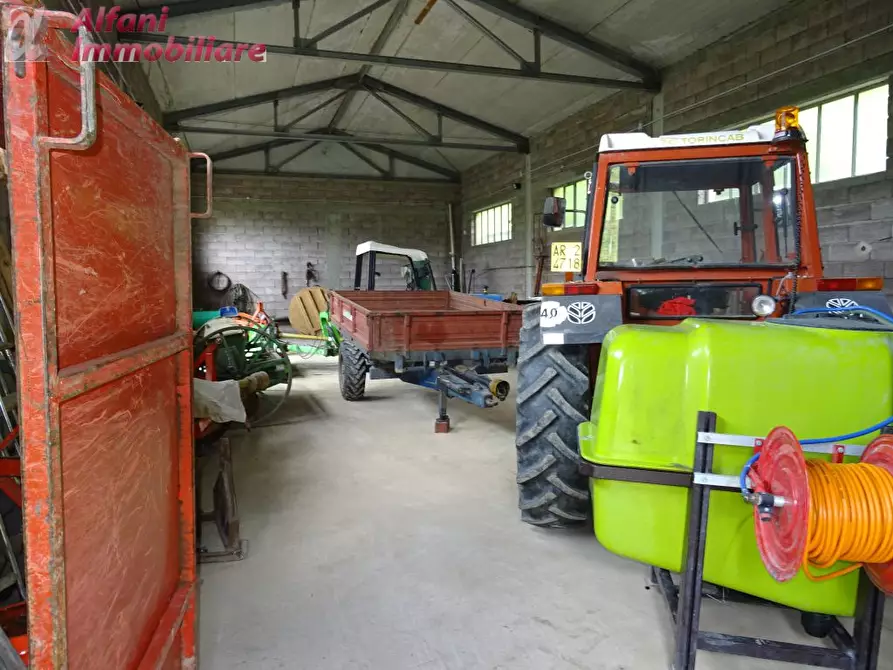 Immagine 5 di Terreno agricolo in vendita  a Pratovecchio Stia