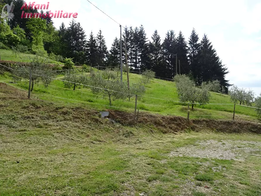 Immagine 6 di Terreno agricolo in vendita  a Pratovecchio Stia