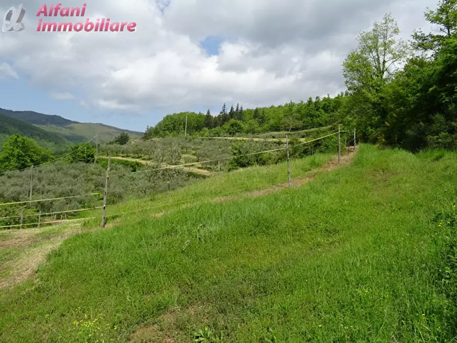 Immagine 7 di Terreno agricolo in vendita  a Pratovecchio Stia