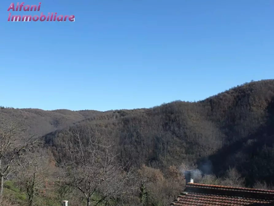 Immagine 24 di Casa indipendente in vendita  a Castel San Niccolò