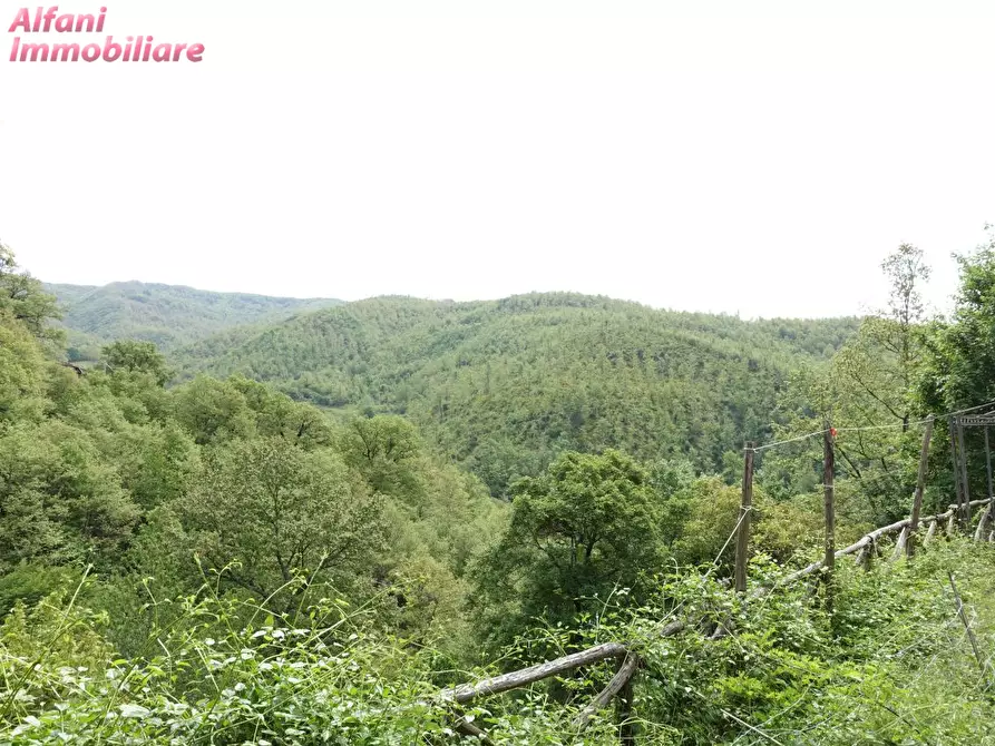 Immagine 4 di Villa in vendita  in Casa Moggio 15 a Capolona