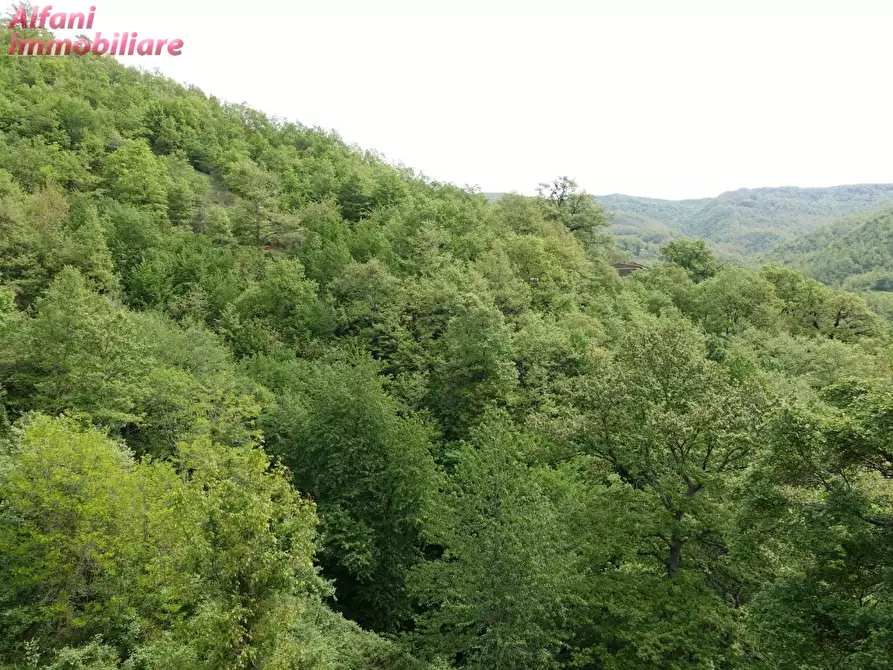 Immagine 67 di Villa in vendita  in Casa Moggio 15 a Capolona