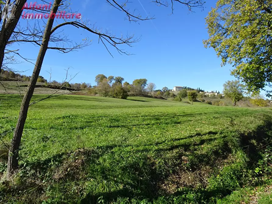 Immagine 3 di Rustico / casale in vendita  in Buiano a Poppi