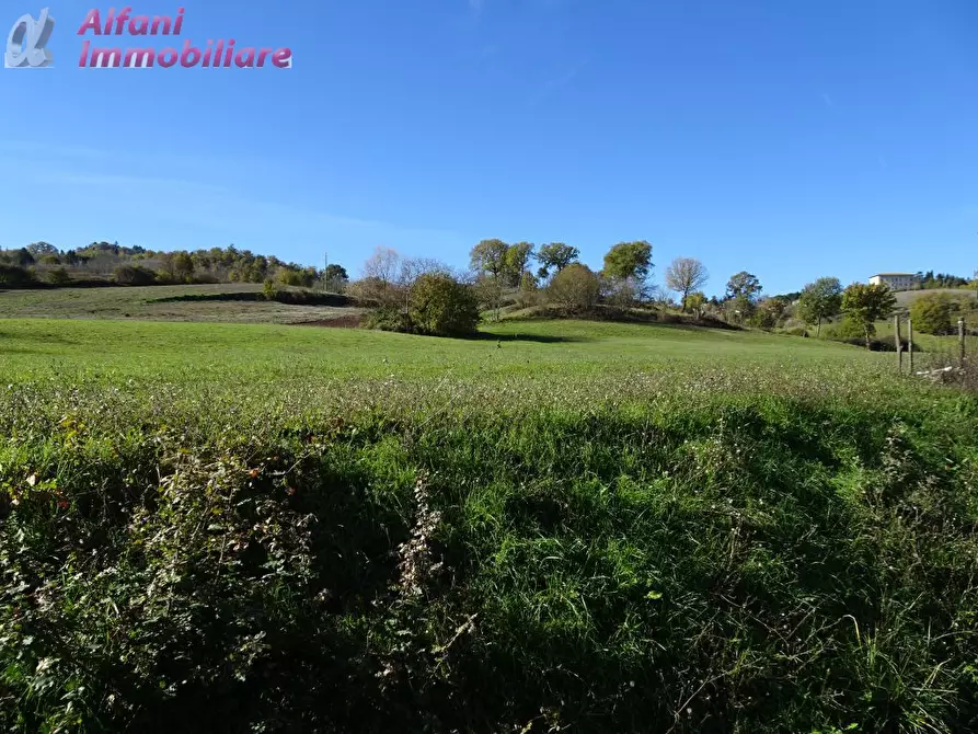 Immagine 4 di Rustico / casale in vendita  in Buiano a Poppi