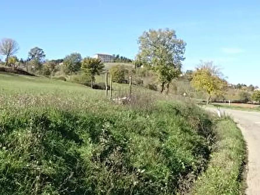 Immagine 5 di Rustico / casale in vendita  in Buiano a Poppi