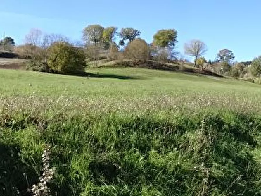 Immagine 6 di Rustico / casale in vendita  in Buiano a Poppi