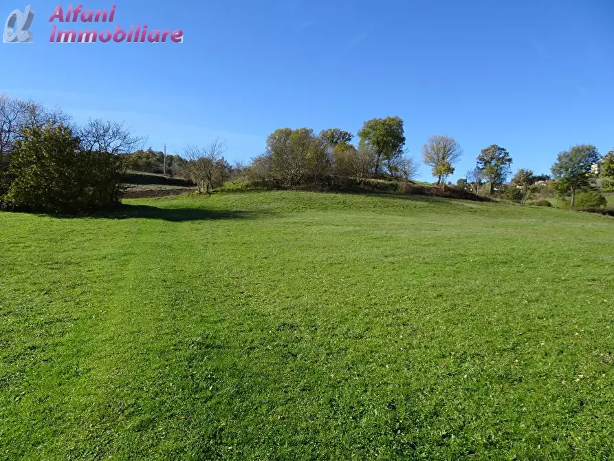 Immagine 7 di Rustico / casale in vendita  in Buiano a Poppi