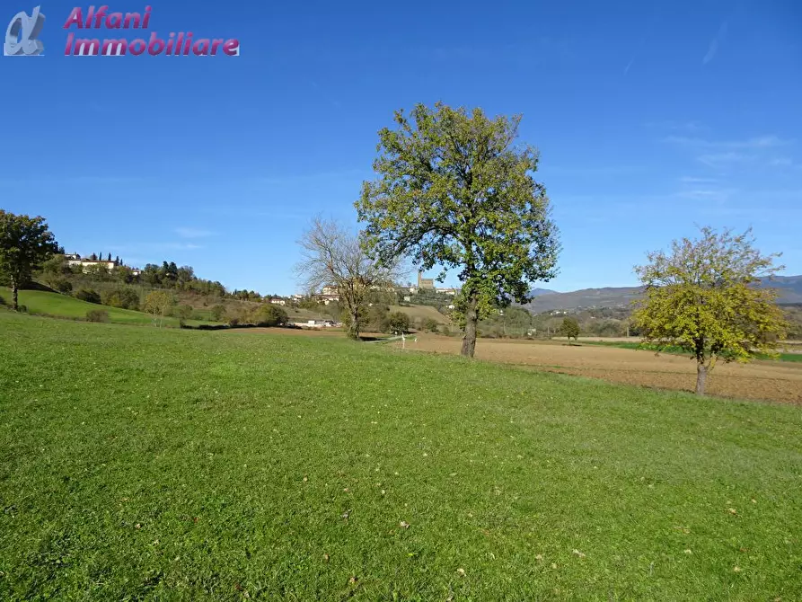 Immagine 8 di Rustico / casale in vendita  in Buiano a Poppi