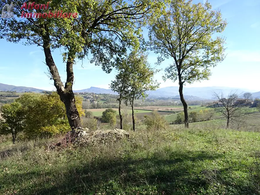 Immagine 9 di Rustico / casale in vendita  in Buiano a Poppi