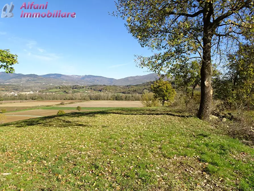 Immagine 11 di Rustico / casale in vendita  in Buiano a Poppi