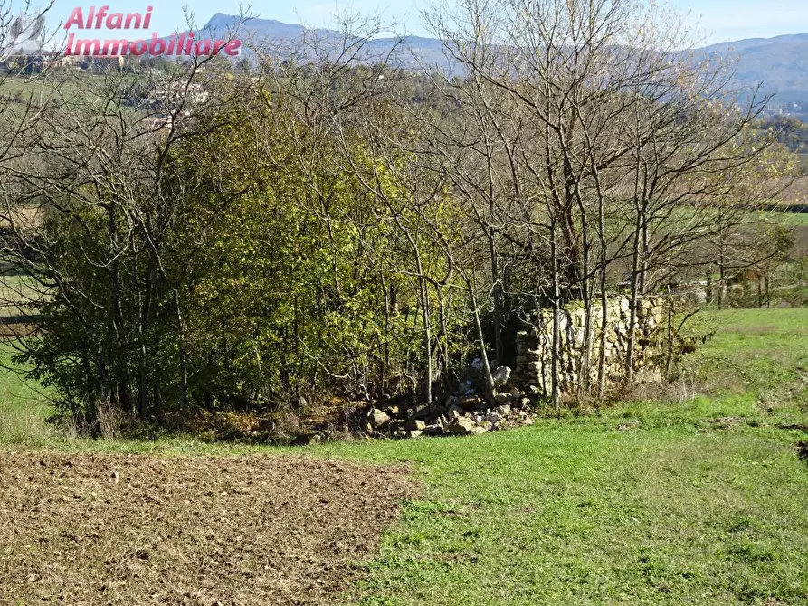 Immagine 13 di Rustico / casale in vendita  in Buiano a Poppi