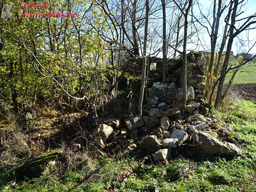 Immagine 14 di Rustico / casale in vendita  in Buiano a Poppi