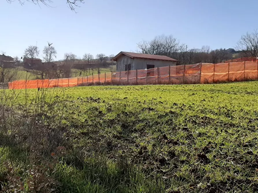 Immagine 16 di Rustico / casale in vendita  in Buiano a Poppi