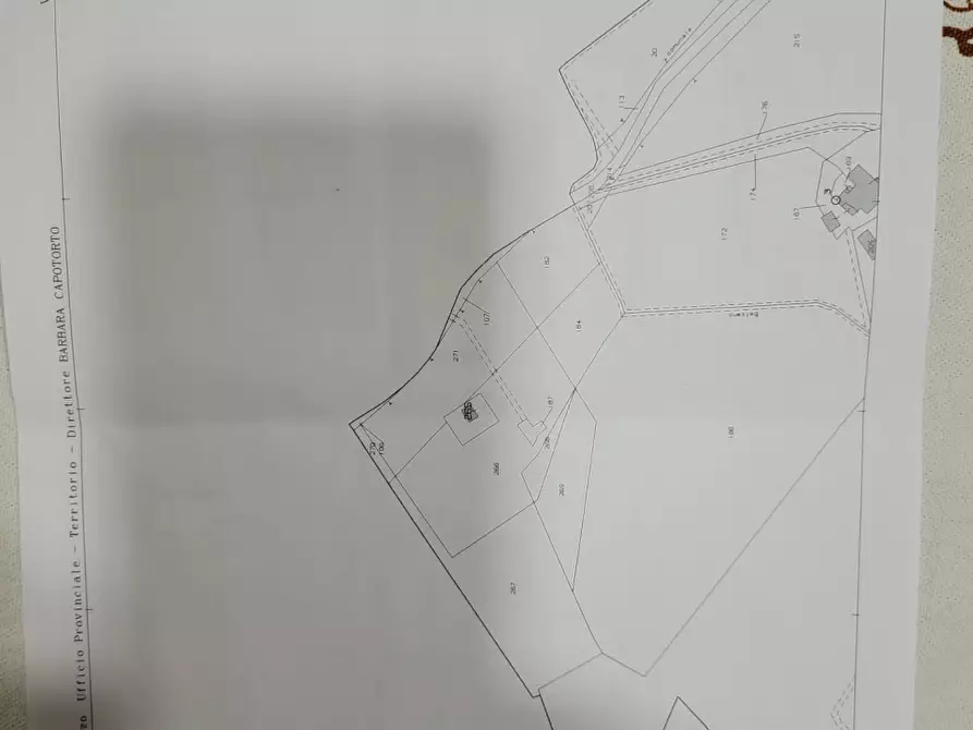 Immagine 22 di Rustico / casale in vendita  in Buiano a Poppi