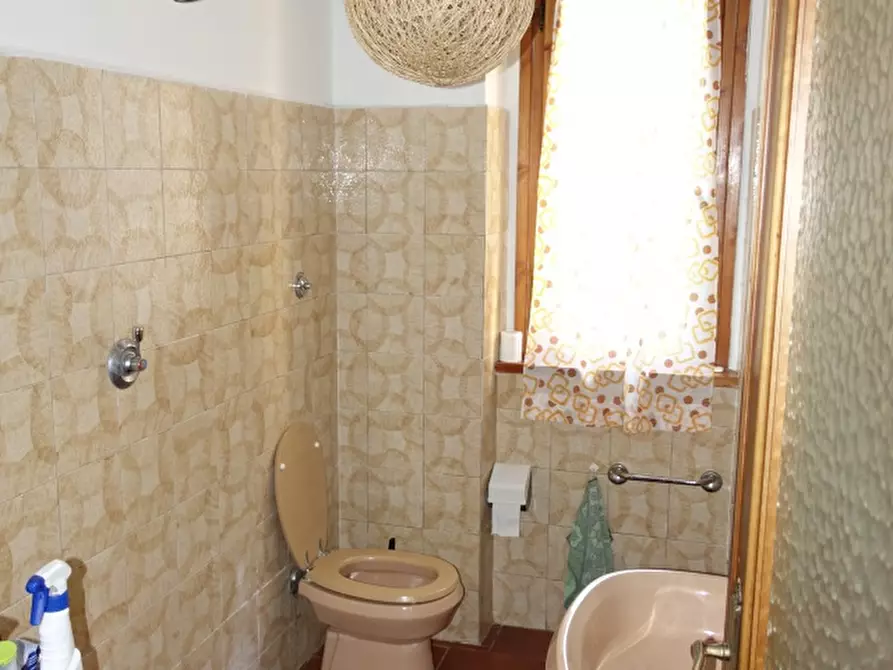 Immagine 5 di Appartamento in vendita  a Castel San Niccolò