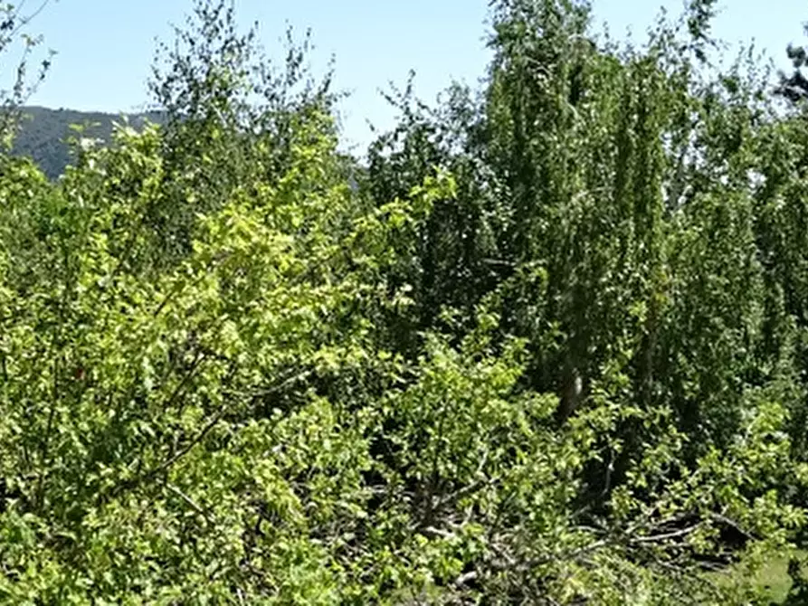 Immagine 61 di Villa in vendita  a Bibbiena