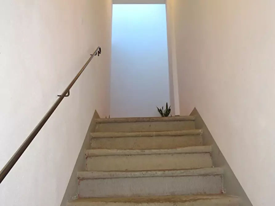 Immagine 5 di Appartamento in vendita  a Castel San Niccolò