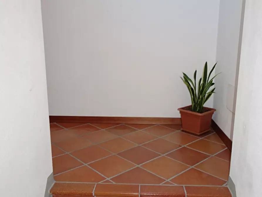 Immagine 6 di Appartamento in vendita  a Castel San Niccolò