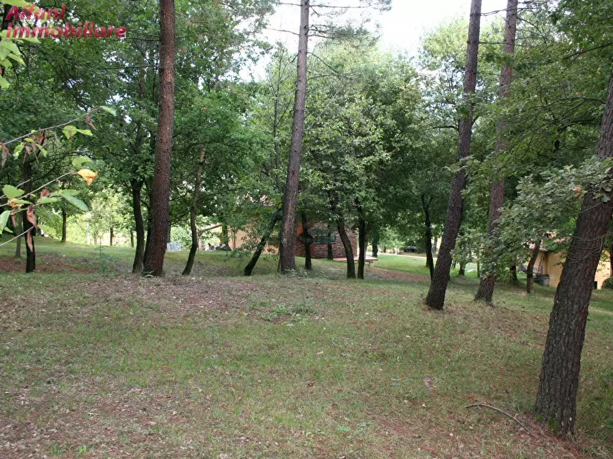 Immagine 39 di Villa in vendita  a Bibbiena