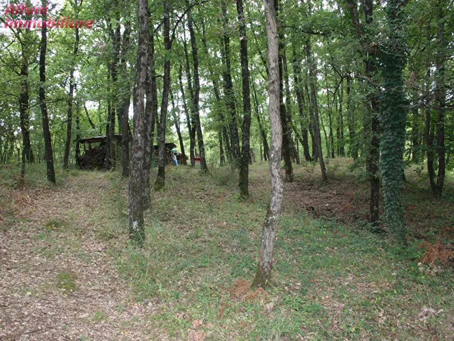 Immagine 42 di Villa in vendita  a Bibbiena