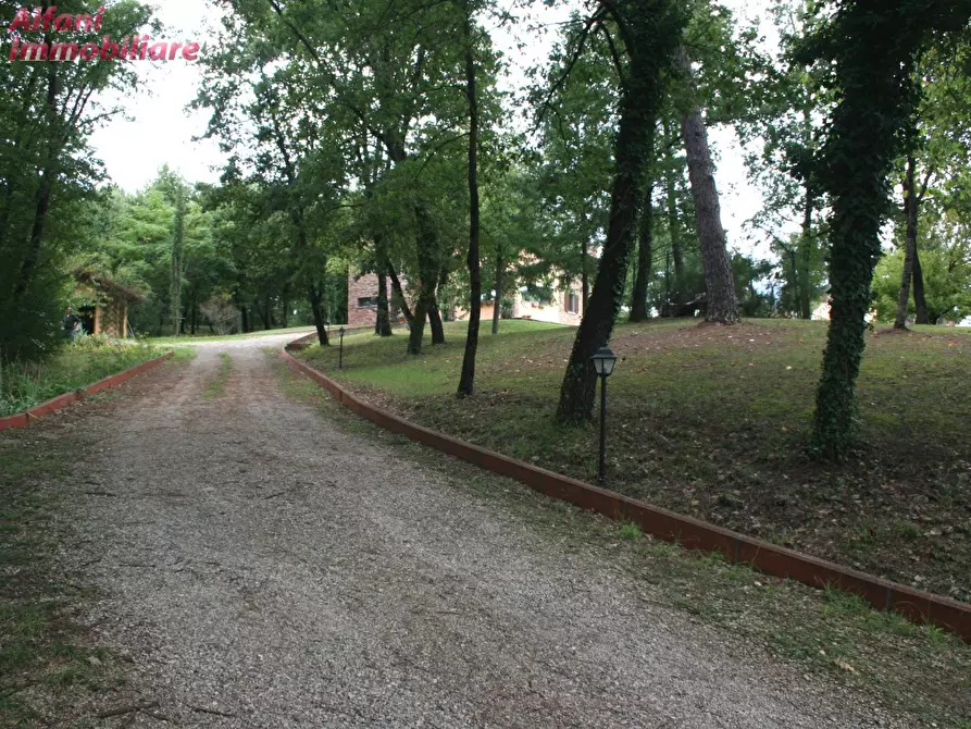 Immagine 44 di Villa in vendita  a Bibbiena